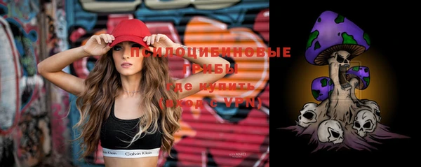прущие грибы Михайловск