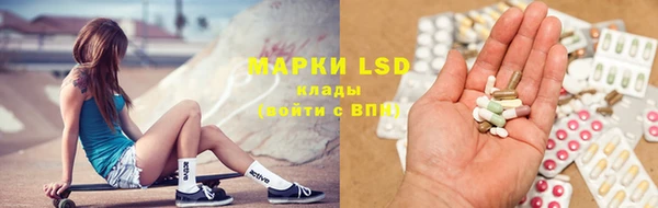 прущие грибы Михайловск