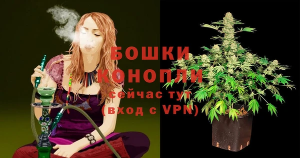 apvp Медногорск