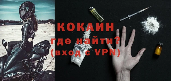 прущие грибы Михайловск
