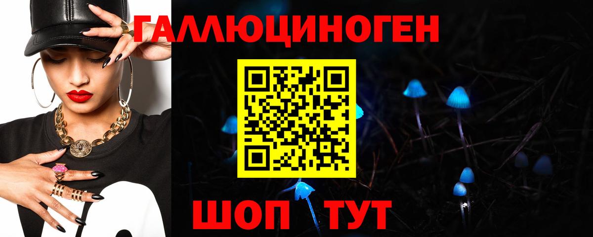 Галлюциногенные грибы Cubensis Петрозаводск